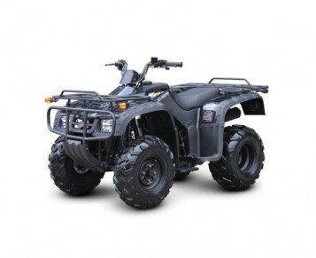 ZS250-L-D